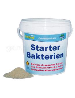  STARTER BAKTERIEN